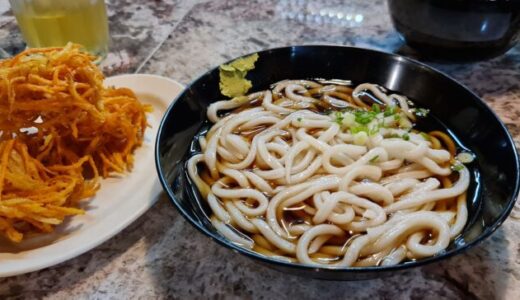 Kakiage udon picture