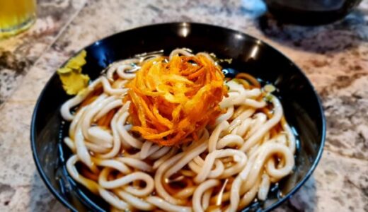 Kakiage udon picture