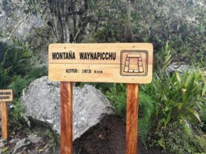 Waynapicchu top board picture