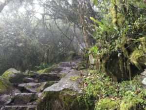 マチュピチュ山の山道の写真