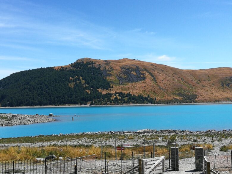 Tekapo Lake picture