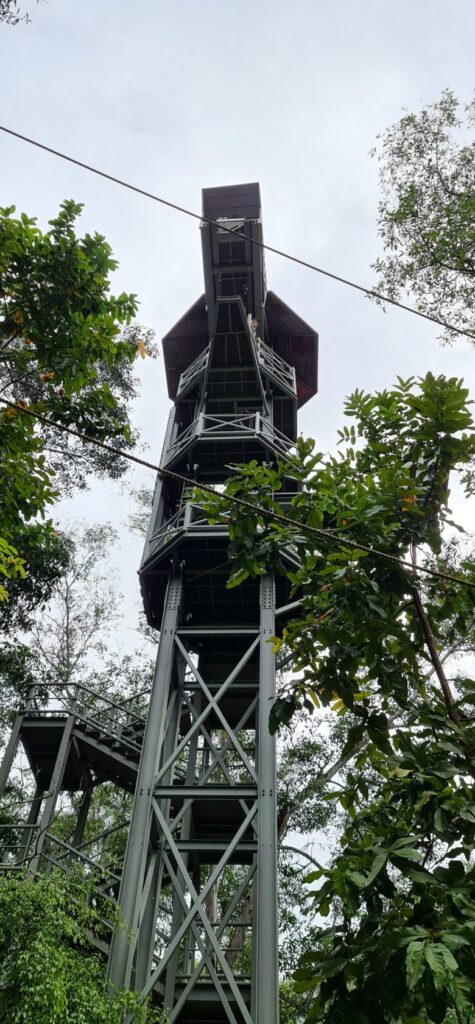 Bungy jump