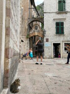 Kotor city wall gate photo