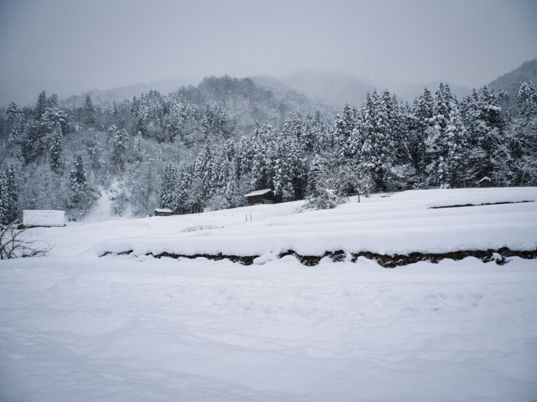 雪の棚田