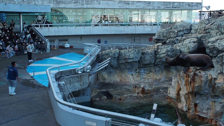 Oita Marine Palace aquarium “Umitamago” is the enjoyable place to go in ...