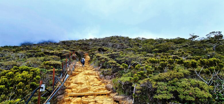 キナバル登山道