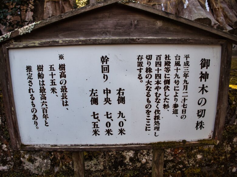 宇奈岐日女神社の御神木