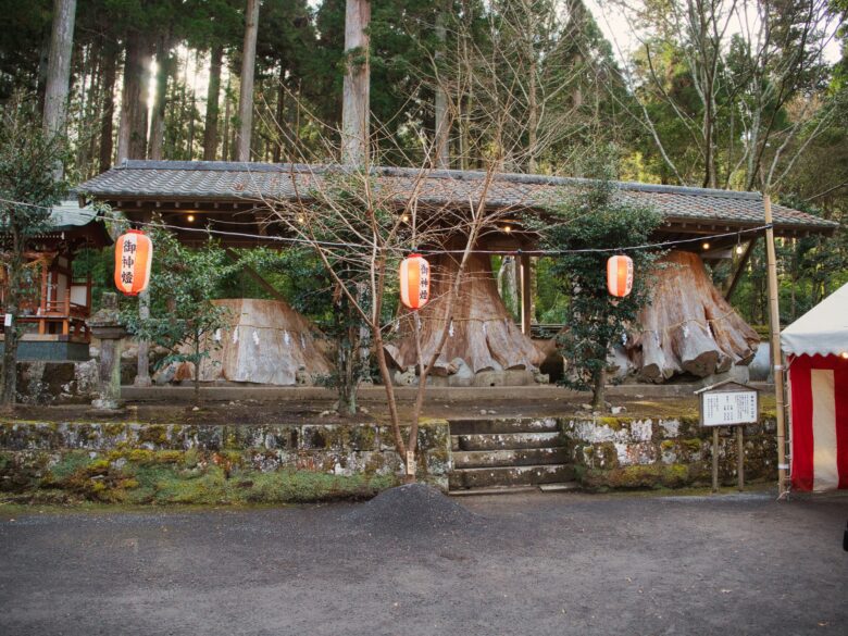 宇奈岐日女神社　御神木