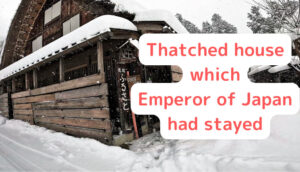 Thatched hostel Furusato