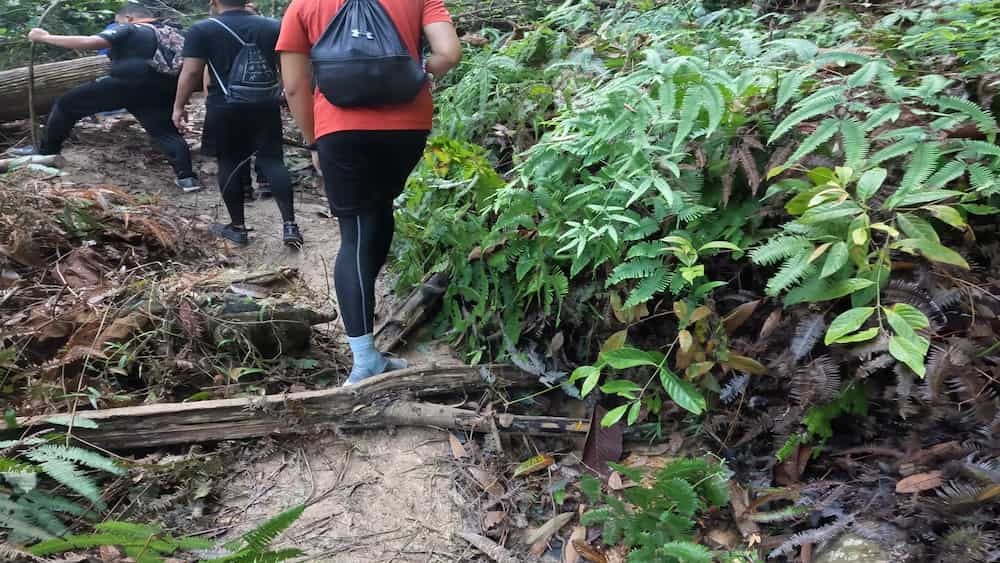 Shah Alam Community Forest Trail head