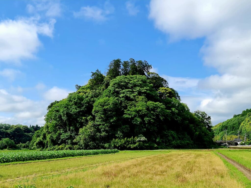 夏目友人帳