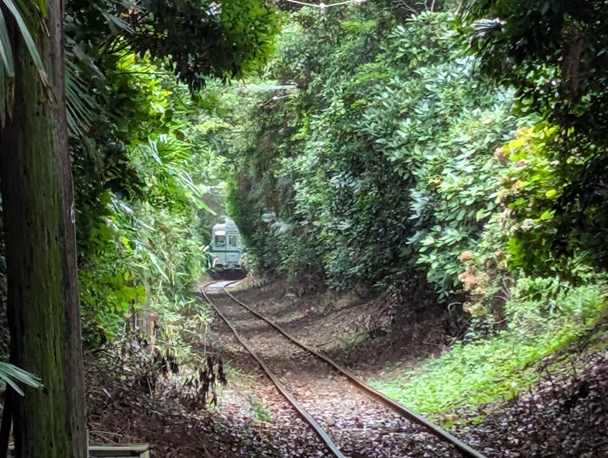 恋のトンネル