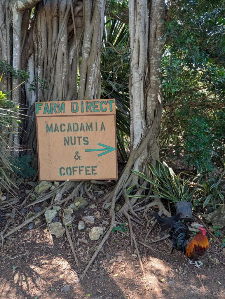 North Shore Macadamia Nut Company
