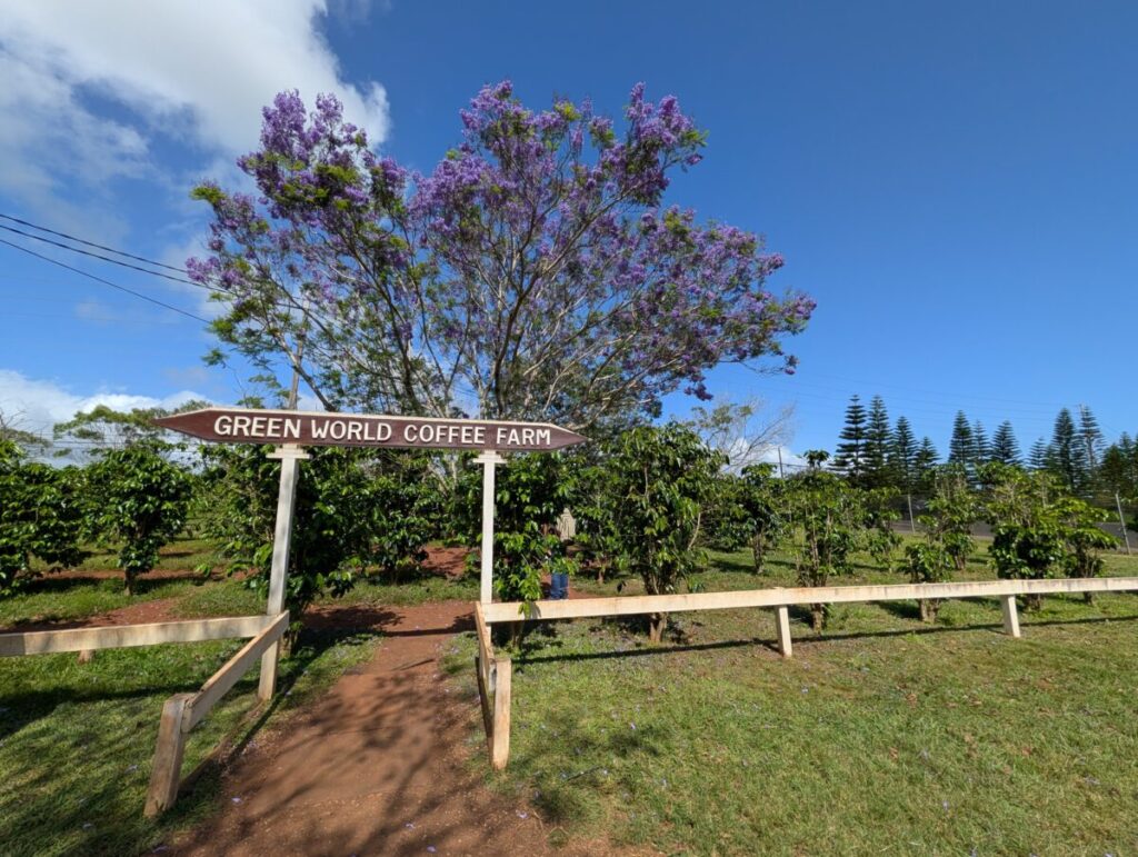 Green World Coffee Farm